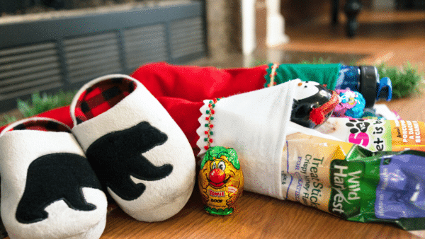 Eco Friendly Stocking Stuffers For Kids Who Love Animals Featured