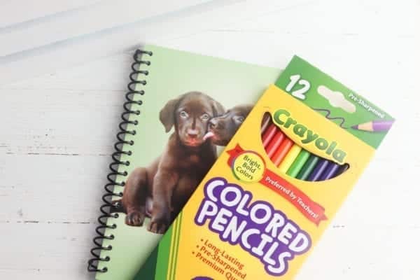 Puppy notebook and colored pencils