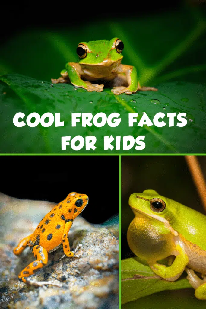 Cool Frog Facts for Kids