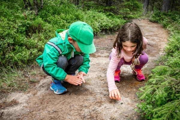 Blog 5 Fun And Educational Activities To Keep Kids Learning This Summer