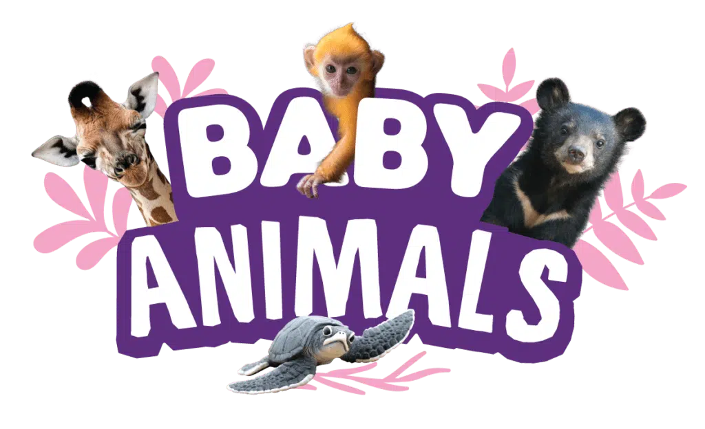 Yowie Baby Animals Logo