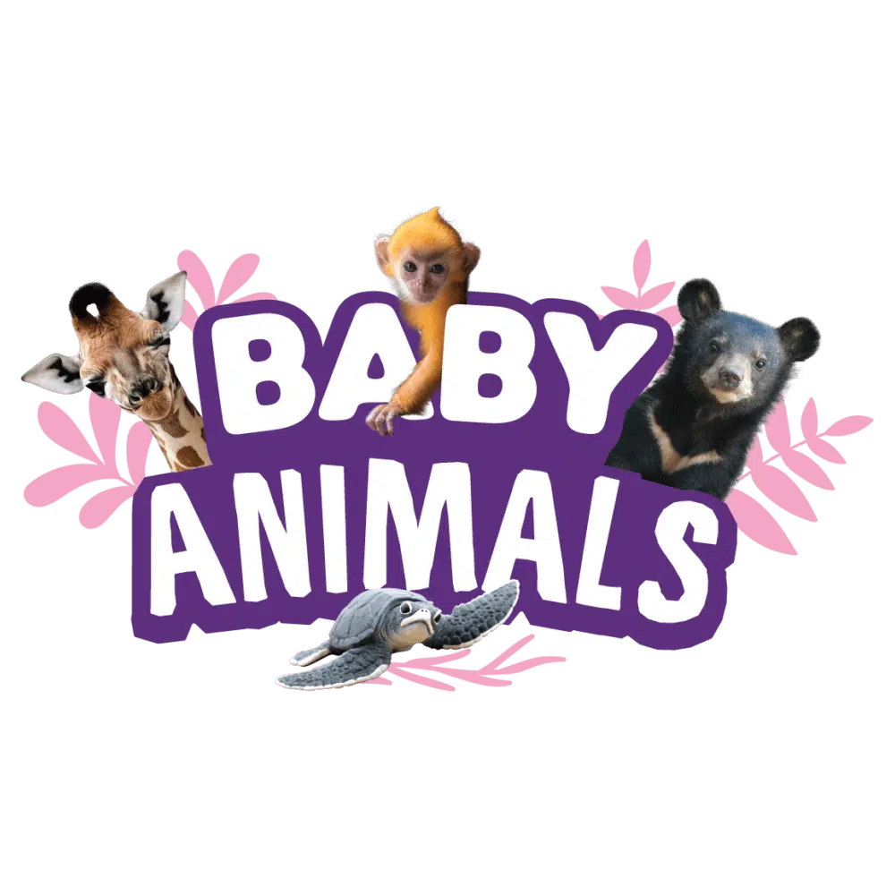 Yowie Series Logo Baby Animals 01
