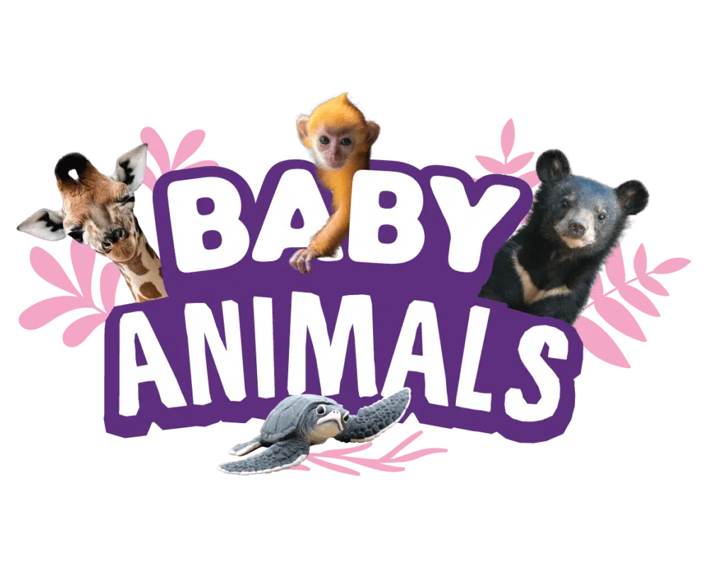 Yowie Series Logo Baby Animals 02