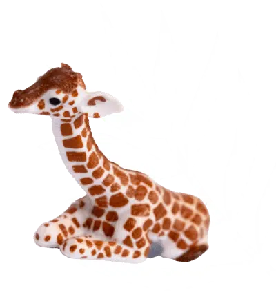 Giraffe And Leaf 01