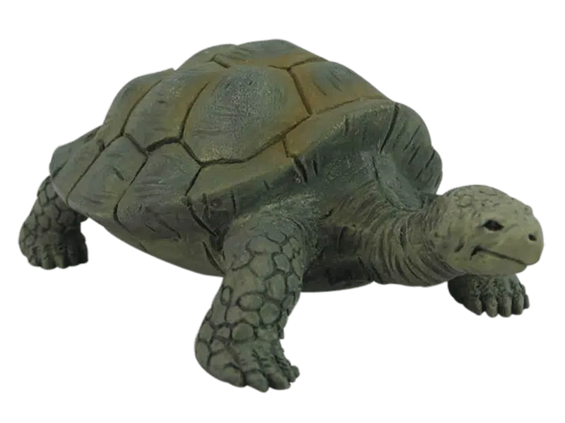 Yowie World Premier Series Rld Premier Series Galapagos Tortoise 13 417