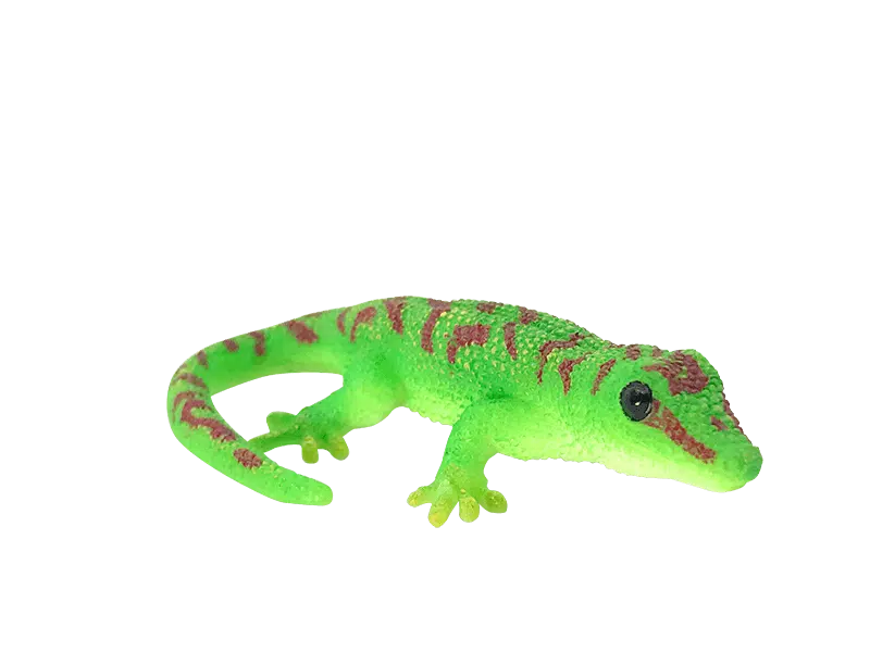 Yowie World Wcs Series Madagascar Day Gecko