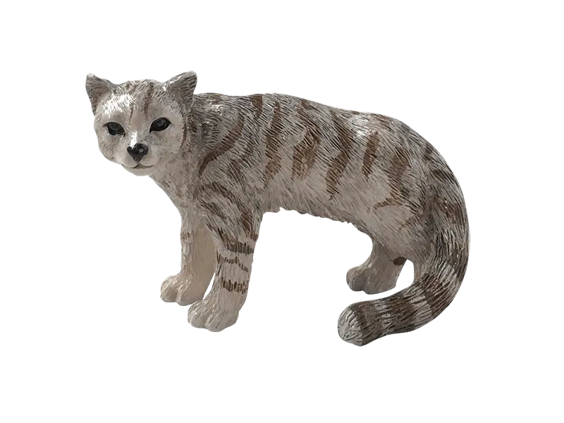 Andean Mountain Cat 01