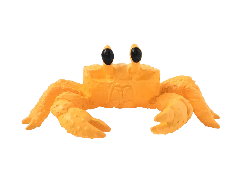 Golden Ghost Crab 01