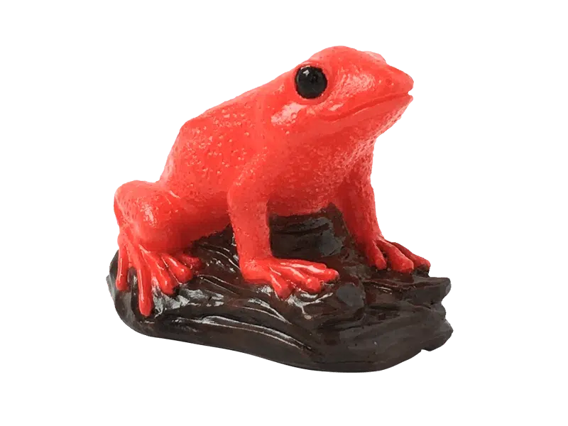 Red Golden Mantella Frog 01