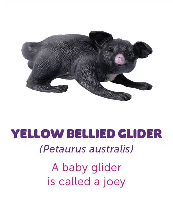 Yowie Baby Animals Collection (5)